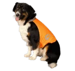 Gilet di sicurezza per cani con dettagli riflettenti e chiusura in velcro, arancione, S – Nightwalk Safety Vest - immagine 3