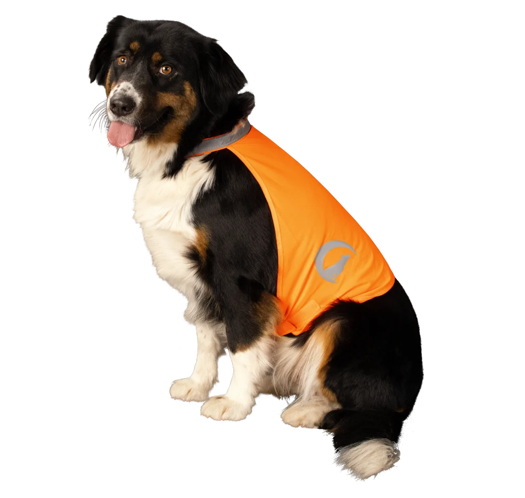 Gilet di sicurezza per cani con dettagli riflettenti e chiusura in velcro, arancione, S – Nightwalk Safety Vest - immagine 3