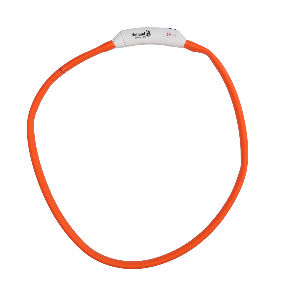 Collare luminoso ricaricabile per cani, arancione – Nightwalk Safety Collar - immagine 4