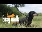 Pettorina con guinzaglio in corda per cani, nera, Regular 345 cm – Easy Walk modello da spalla - immagine 4