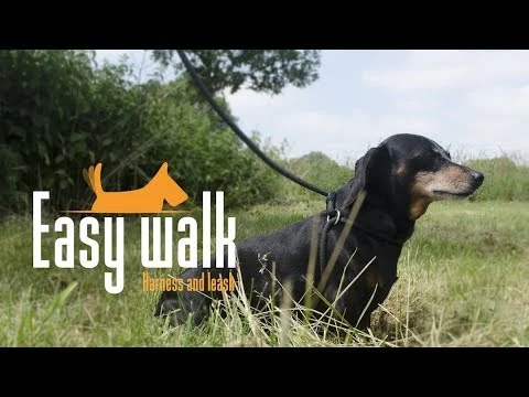 Pettorina con guinzaglio in corda per cani, Rosso, Mini 210 cm – Easy Walk modello da mano - immagine 3