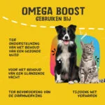 Olio omega per cani con oli vegetali, 250 ml – Excellent Pets Omega Boost - immagine 6