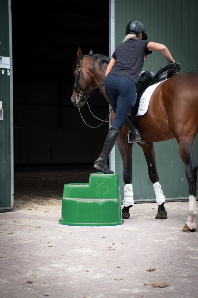 Predellino con 3 gradini antiscivolo, verde, 53 cm – Excellent Horse - immagine 3