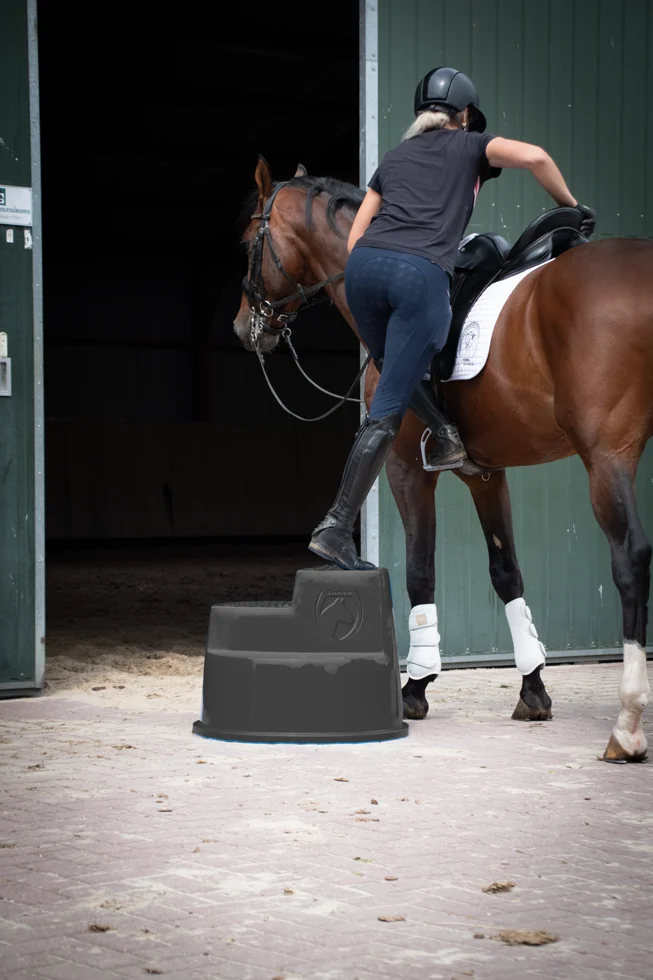 Pedana di montaggio con 3 gradini antiscivolo, nera, 53 cm – Excellent Horse - immagine 4