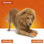 Criniera da leone arancione per cani L – Criniera arancione Holland - immagine 5