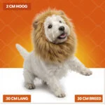 Criniera da leone arancione per cani M – Criniera da leone arancione Holland - immagine 5