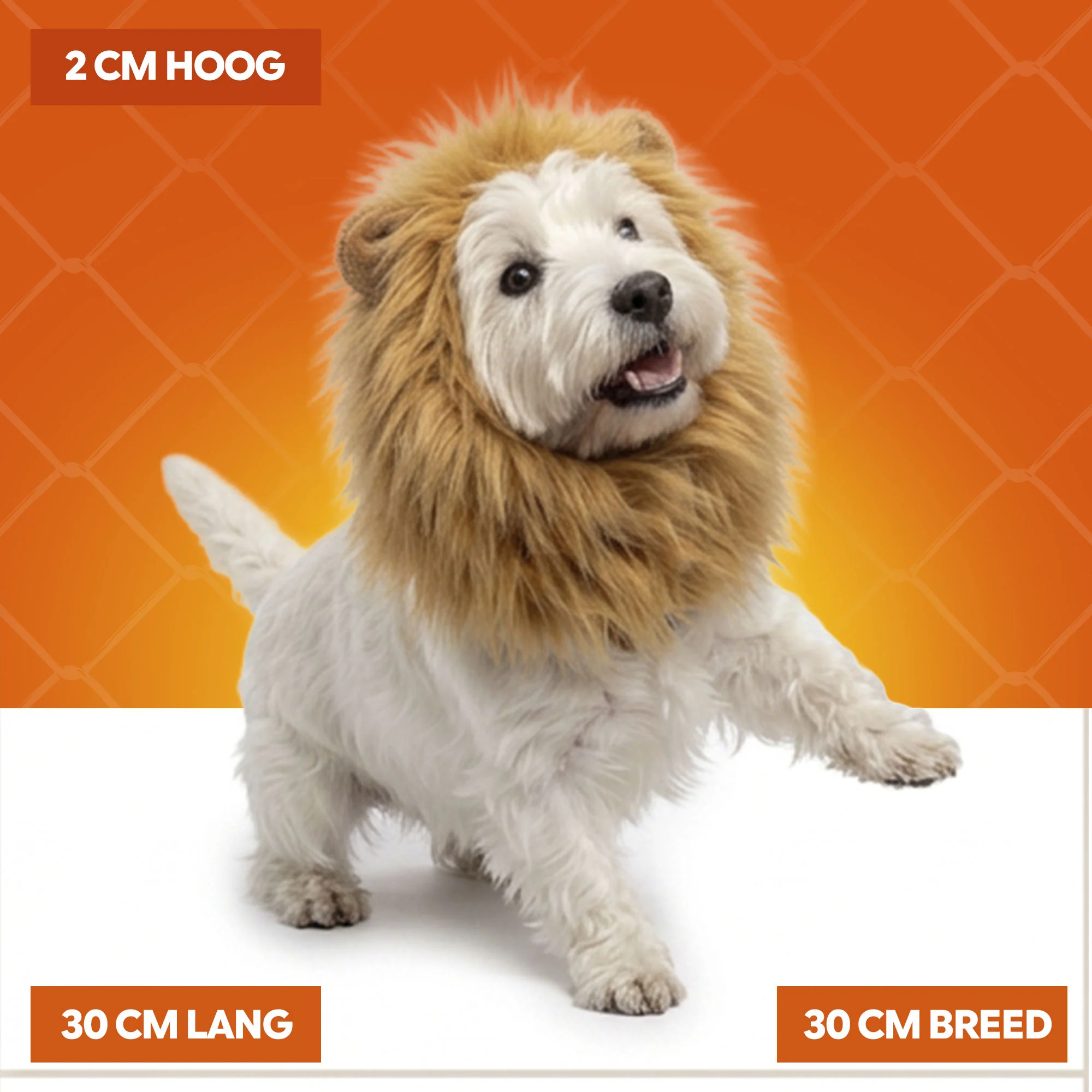 Criniera da leone arancione per cani M – Criniera da leone arancione Holland - immagine 5