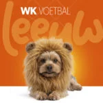 Criniera da leone arancione per cani, taglia S – Criniera arancione Holland - immagine 2