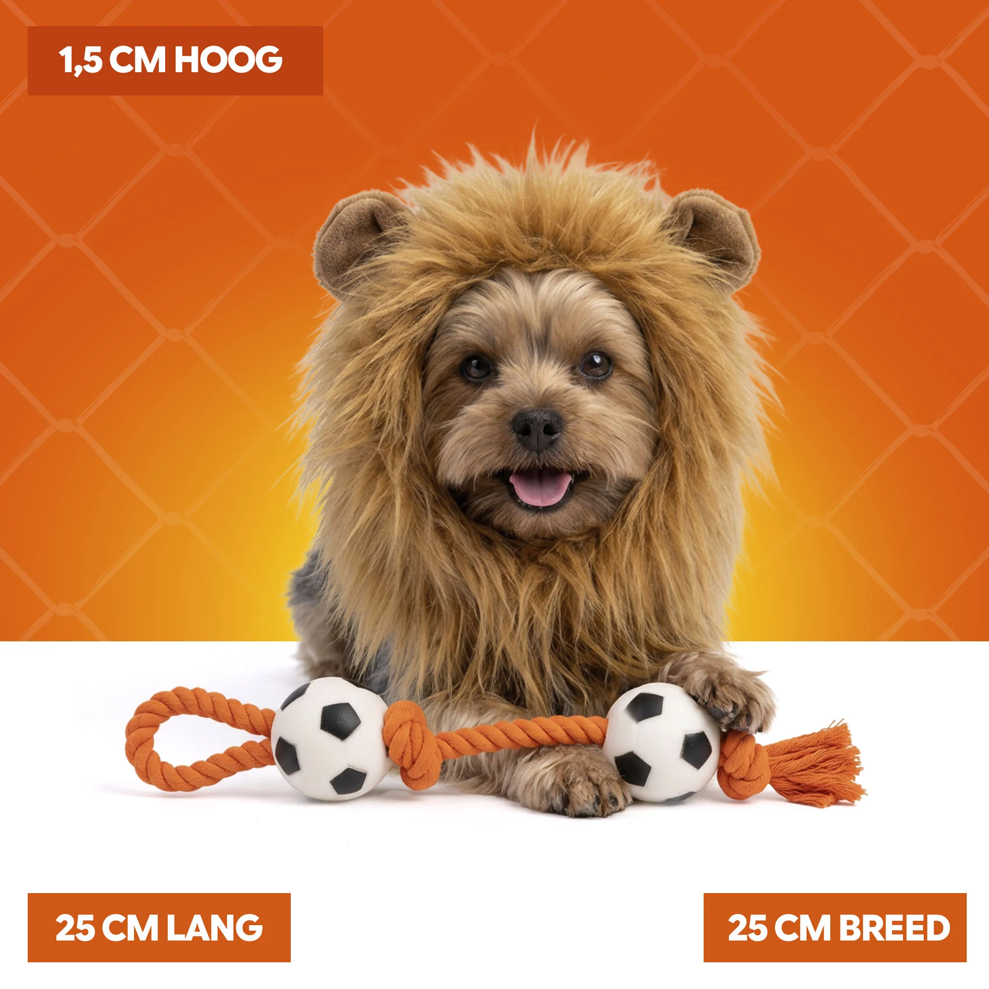 Criniera da leone arancione per cani, taglia S – Criniera arancione Holland - immagine 5