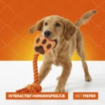 Gioco da tiro per cani a forma di mano con corda in cotone e squeaker – Holland Oranje High Five - immagine 6