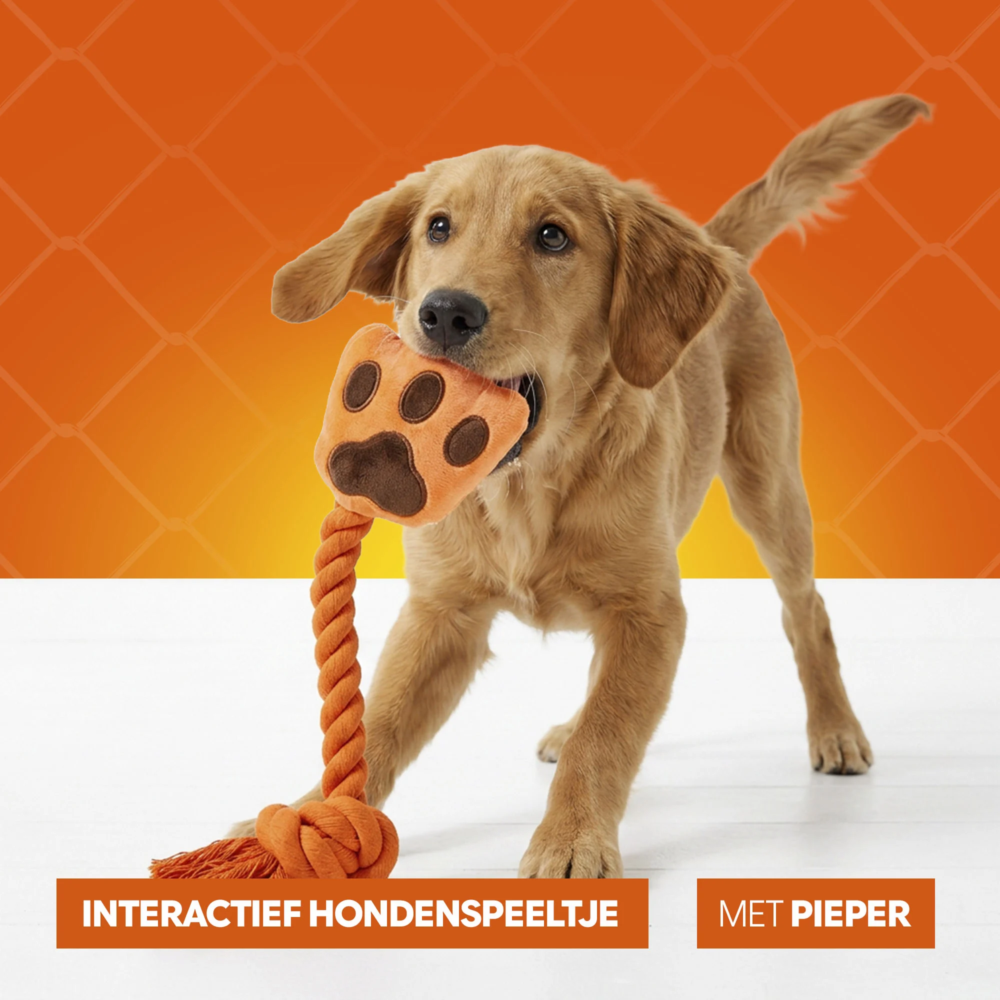 Gioco da tiro per cani a forma di mano con corda in cotone e squeaker – Holland Oranje High Five - immagine 6