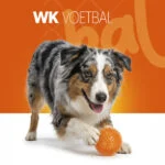 Palla per cani con punte morbide M – Holland Oranje Egelbal - immagine 2