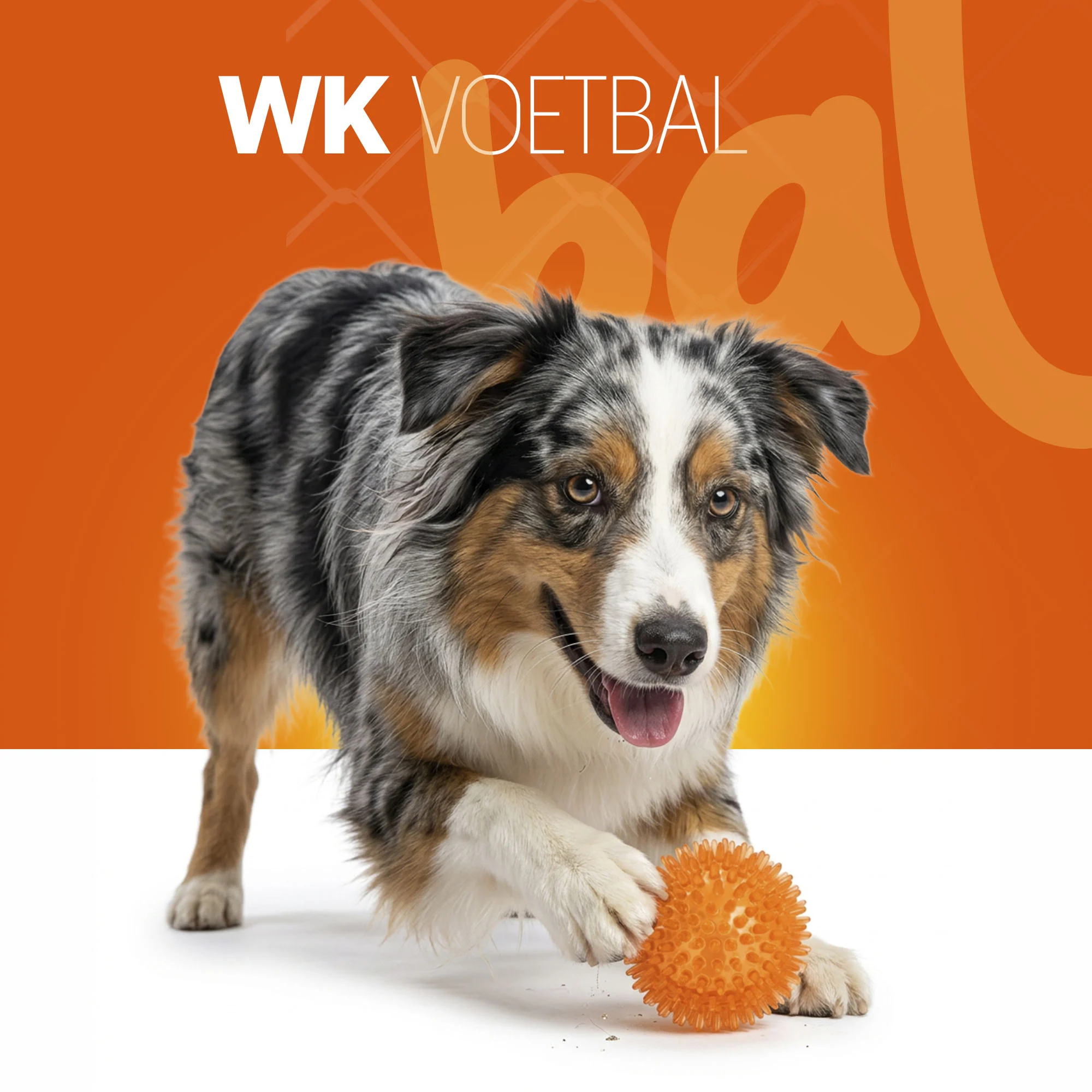 Palla per cani con punte morbide M – Holland Oranje Egelbal - immagine 2