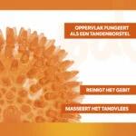 Palla per cani con punte morbide M – Holland Oranje Egelbal - immagine 3