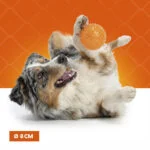 Palla per cani con punte morbide M – Holland Oranje Egelbal - immagine 4