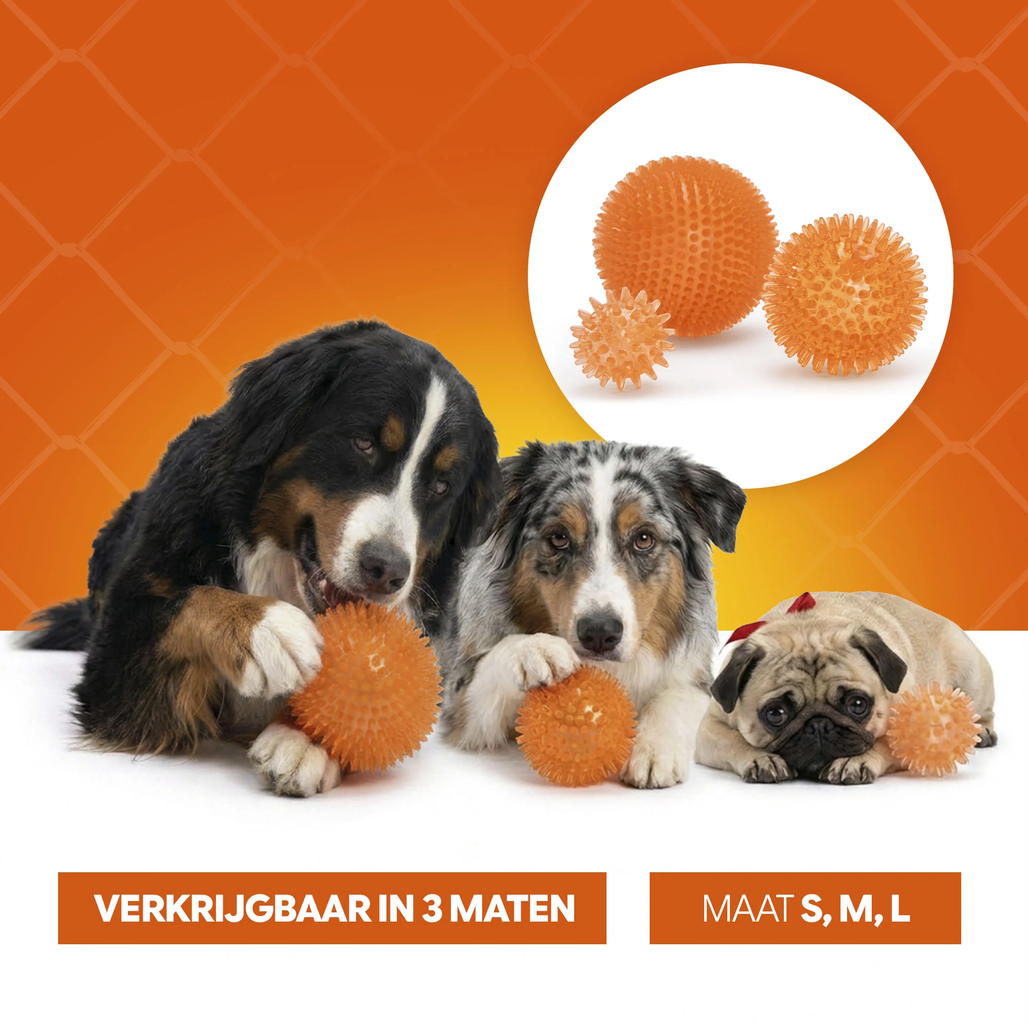 Palla per cani con punte morbide M – Holland Oranje Egelbal - immagine 6
