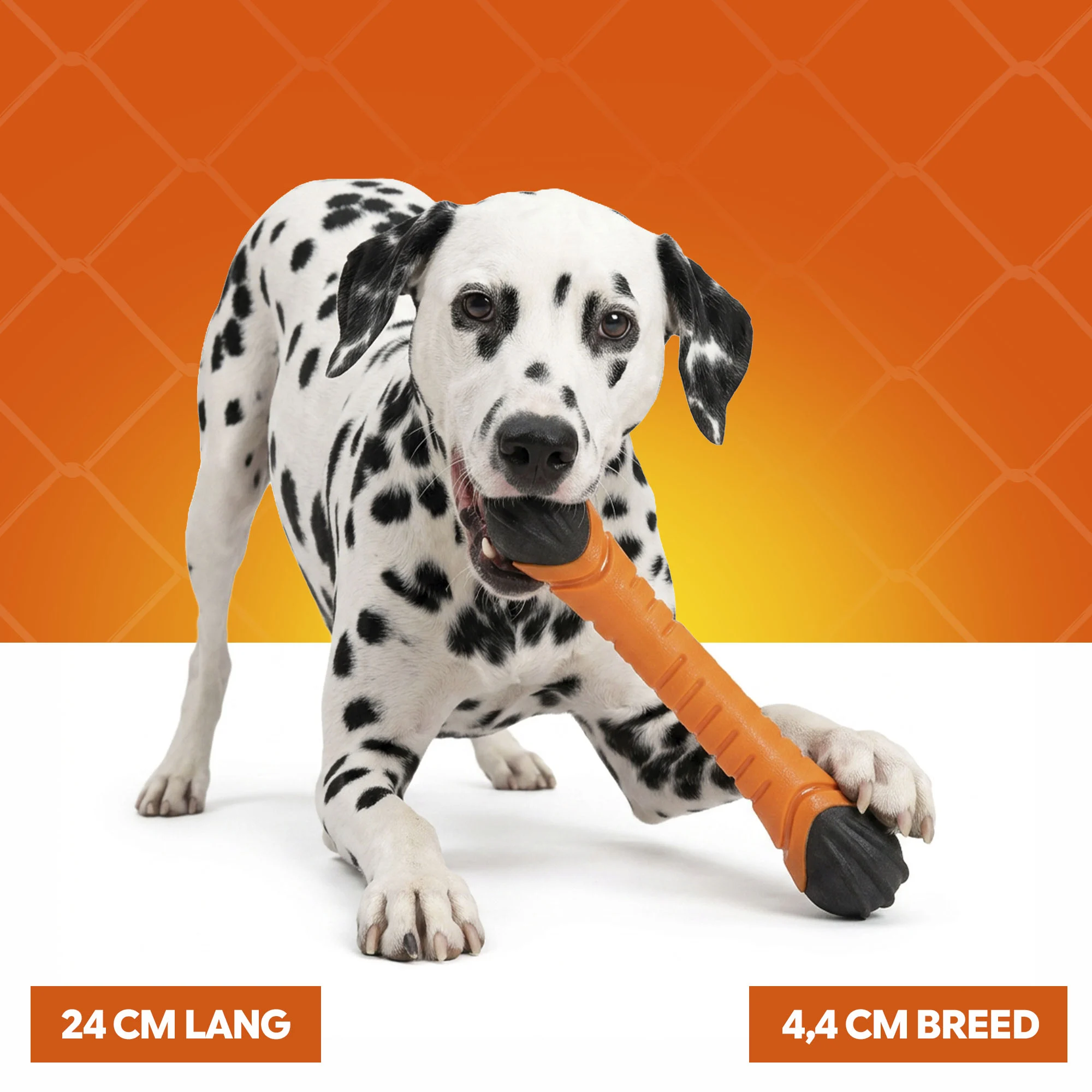 Bastoncino da riporto galleggiante con squeaker S 24 cm – Holland Oranje Apporteerstick - immagine 4
