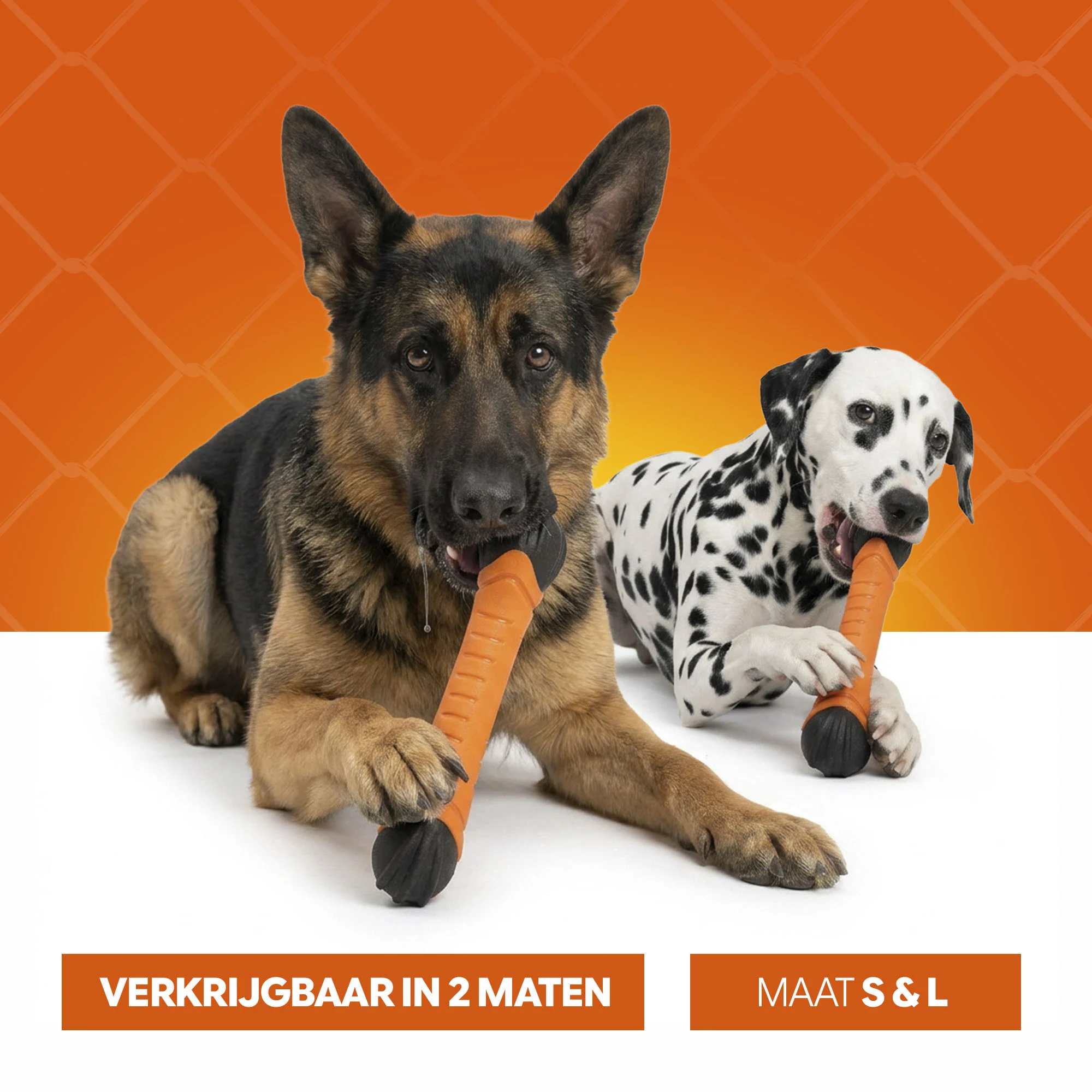 Bastoncino da riporto galleggiante con squeaker S 24 cm – Holland Oranje Apporteerstick - immagine 6