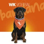 Bandana arancione per cani L per il Koningsdag – Bandana arancione Holland - immagine 2