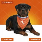 Bandana arancione per cani L per il Koningsdag – Bandana arancione Holland - immagine 4