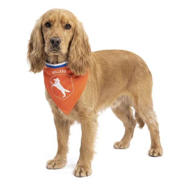 Bandana arancione per cani, taglia M, per la Festa del Re – Bandana arancione Holland