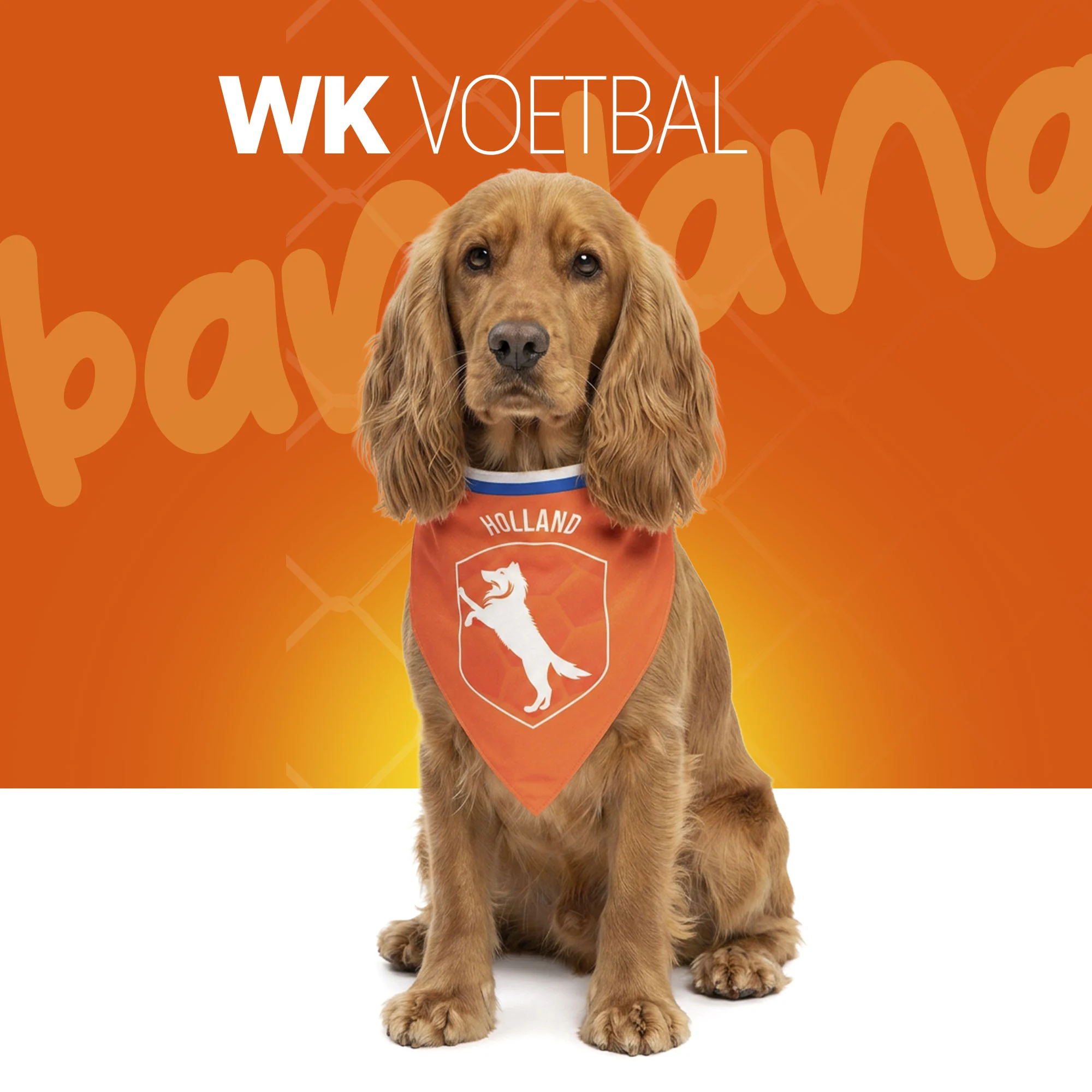 Bandana arancione per cani, taglia M, per la Festa del Re – Bandana arancione Holland - immagine 2