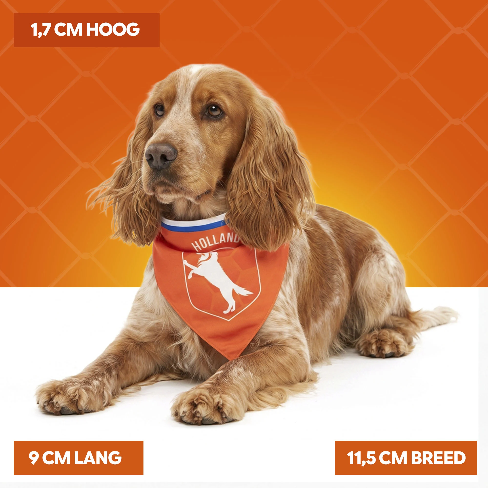 Bandana arancione per cani, taglia M, per la Festa del Re – Bandana arancione Holland - immagine 4
