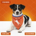 Bandana arancione per cani, taglia S, per la Festa del Re – Bandana arancione Holland - immagine 4