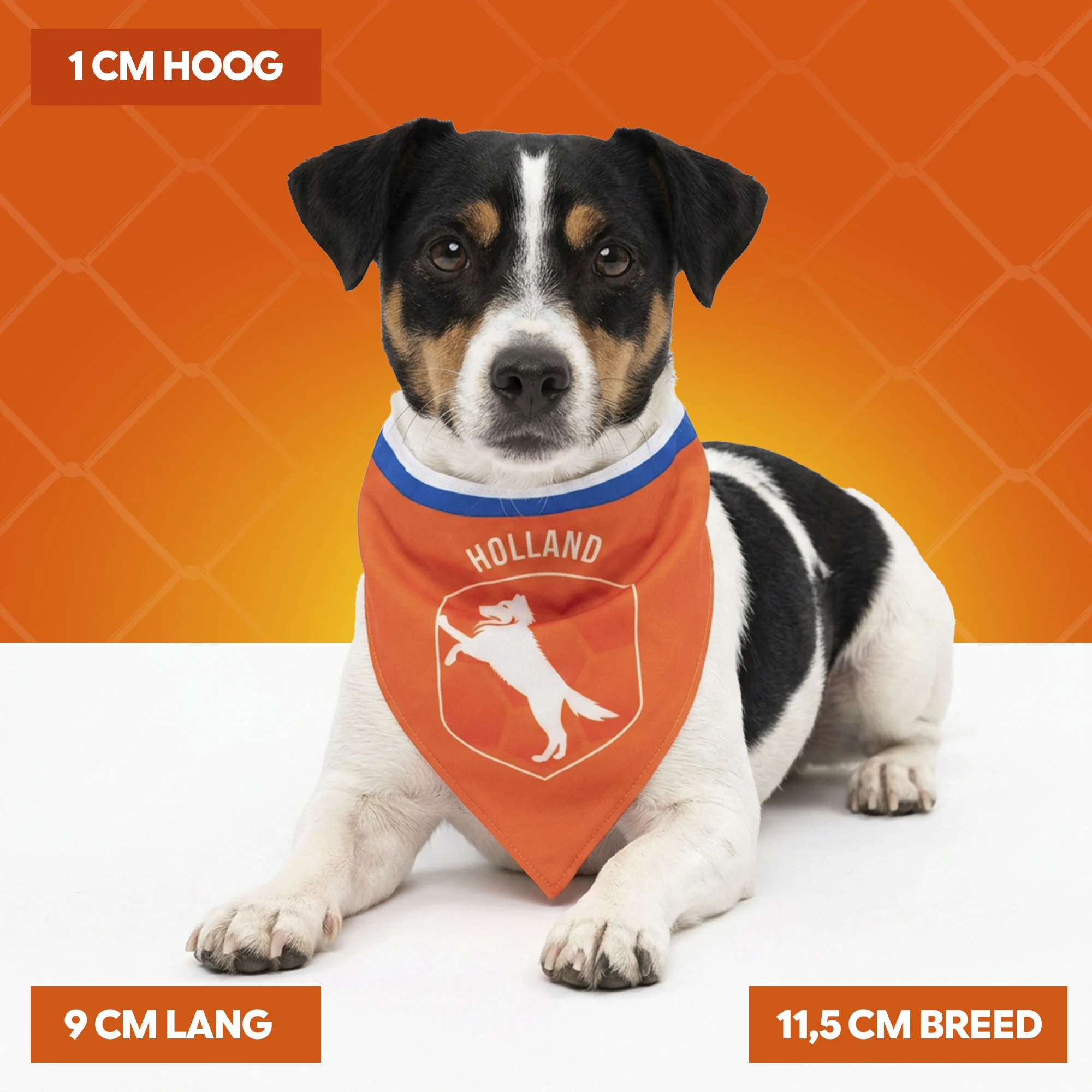 Bandana arancione per cani, taglia S, per la Festa del Re – Bandana arancione Holland - immagine 4