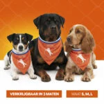 Bandana arancione per cani, taglia S, per la Festa del Re – Bandana arancione Holland - immagine 6