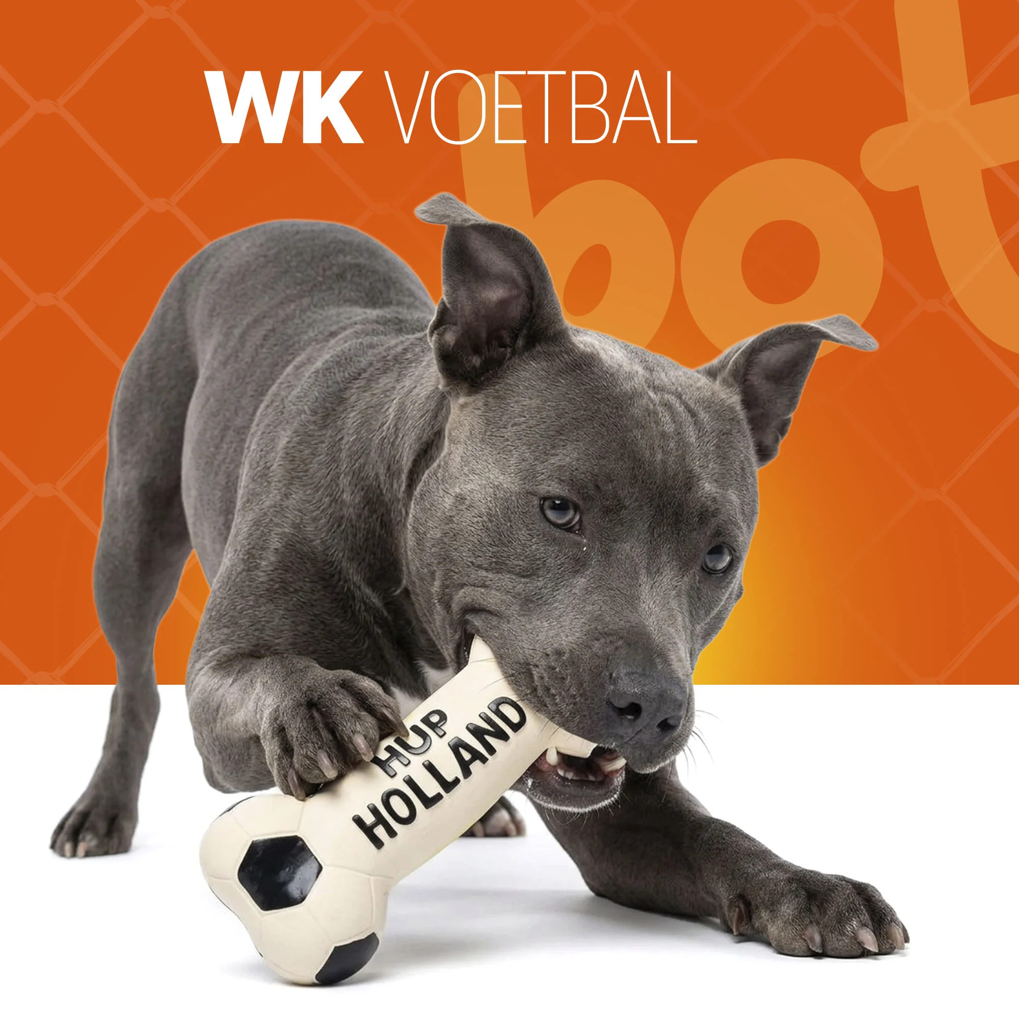Gioco per cani a forma di osso in lattice, arancione – Osso Holland WK - immagine 2