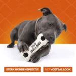 Gioco per cani a forma di osso in lattice, arancione – Osso Holland WK - immagine 6