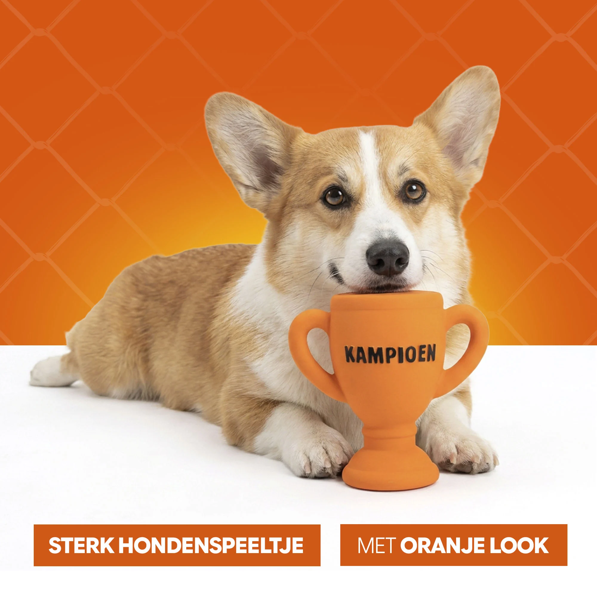 Giocattolo per cani a forma di coppa in lattice, arancione – Holland Coppa dei Mondiali - immagine 6