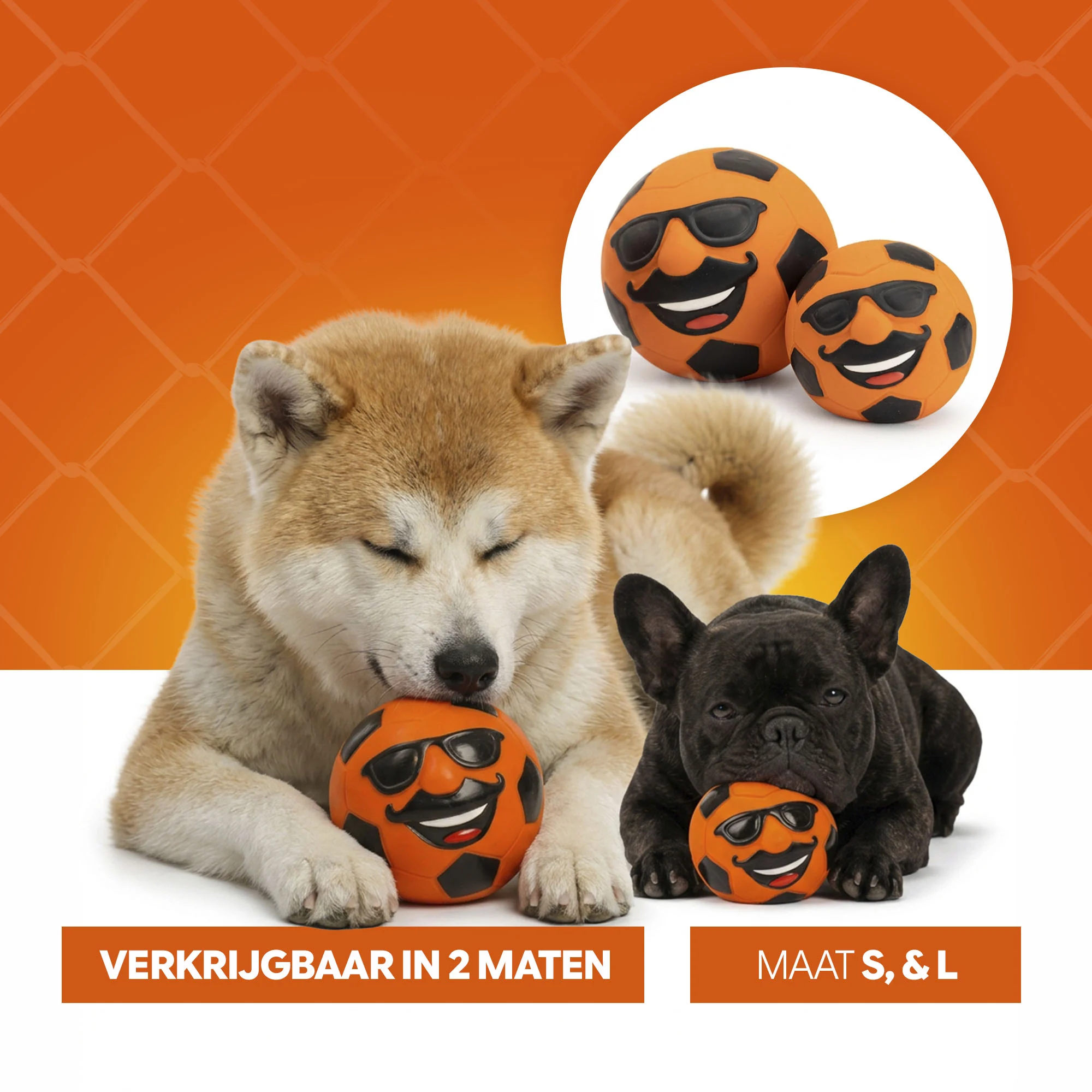 Giocattolo per cani in lattice con squeaker, arancione L – Holland Mr. Dutch - immagine 6