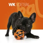 Giocattolo per cani in lattice con fischietto Arancione M – Holland Mr. Dutch - immagine 2