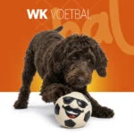 Giocattolo per cani in lattice con squeaker, arancione, L – Holland Mr. WK Soccer - immagine 2