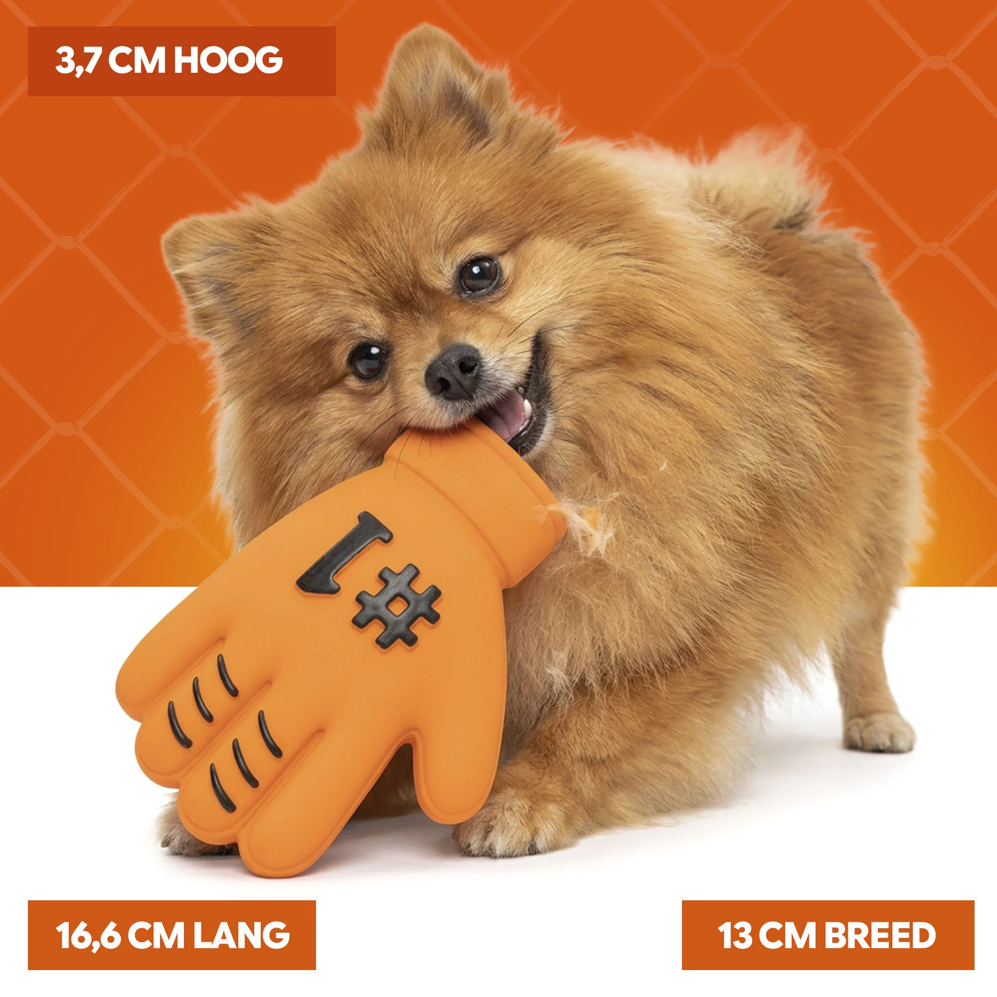 Gioco per cani a forma di guanto in lattice, arancione – Holland WK Handschoen - immagine 4