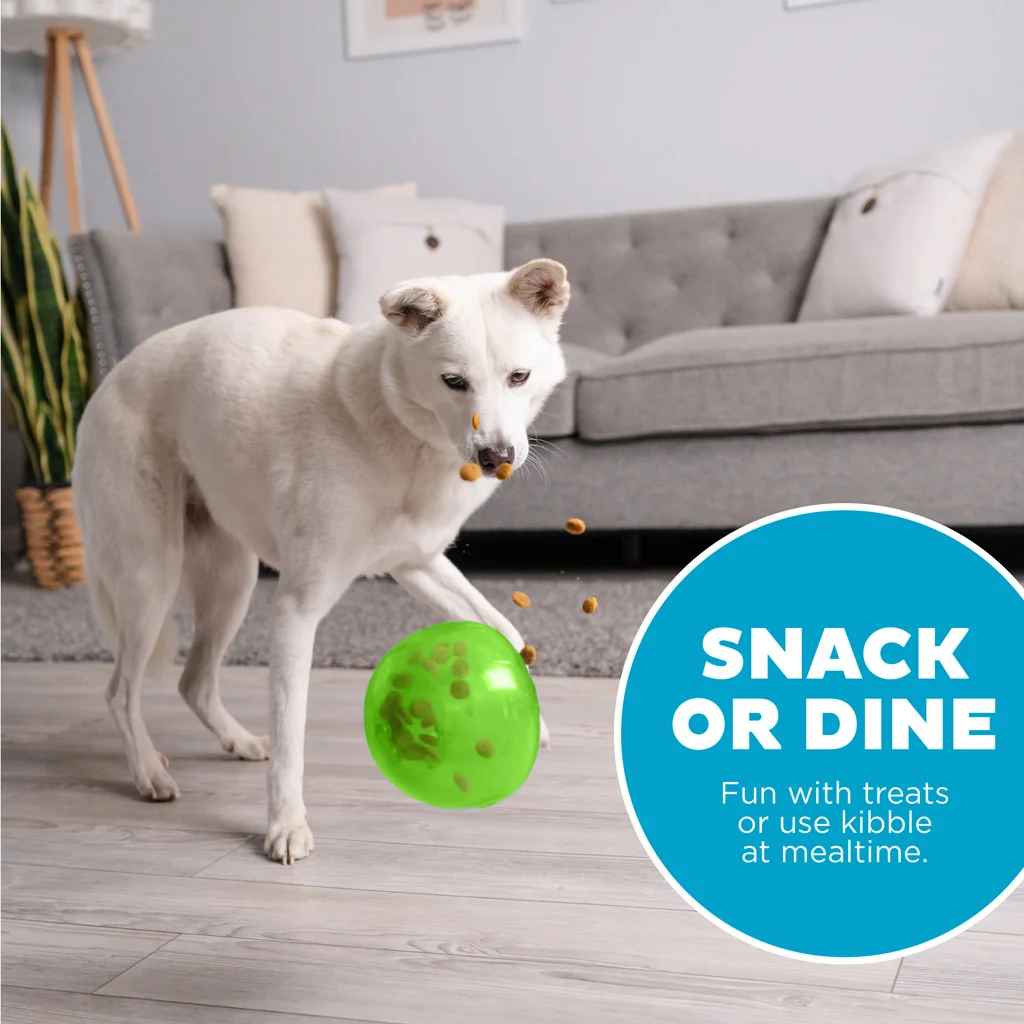 Gioco per cani in TPE per snack – Outward Hound Orbee-Tuff Snoop - immagine 4