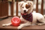 Gioco per cani con snack in TPE – Outward Hound Orbee-Tuff Snoop (Lil' Snoop) - immagine 2