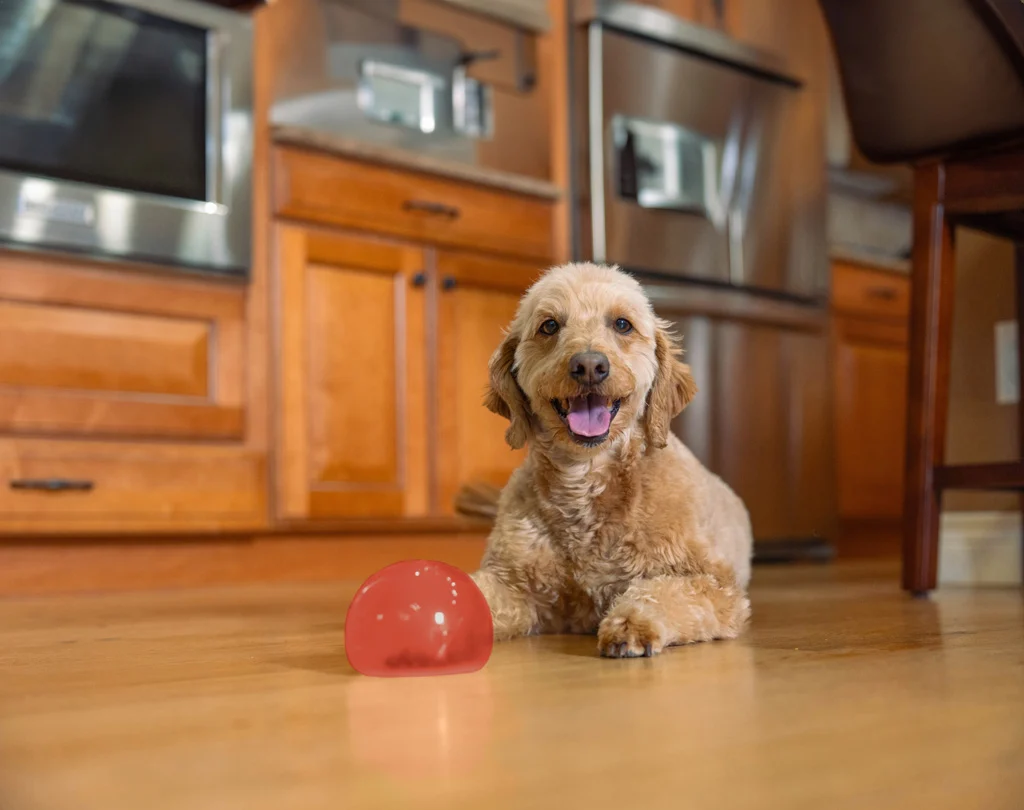 Gioco per cani con snack in TPE – Outward Hound Orbee-Tuff Snoop (Lil' Snoop) - immagine 3