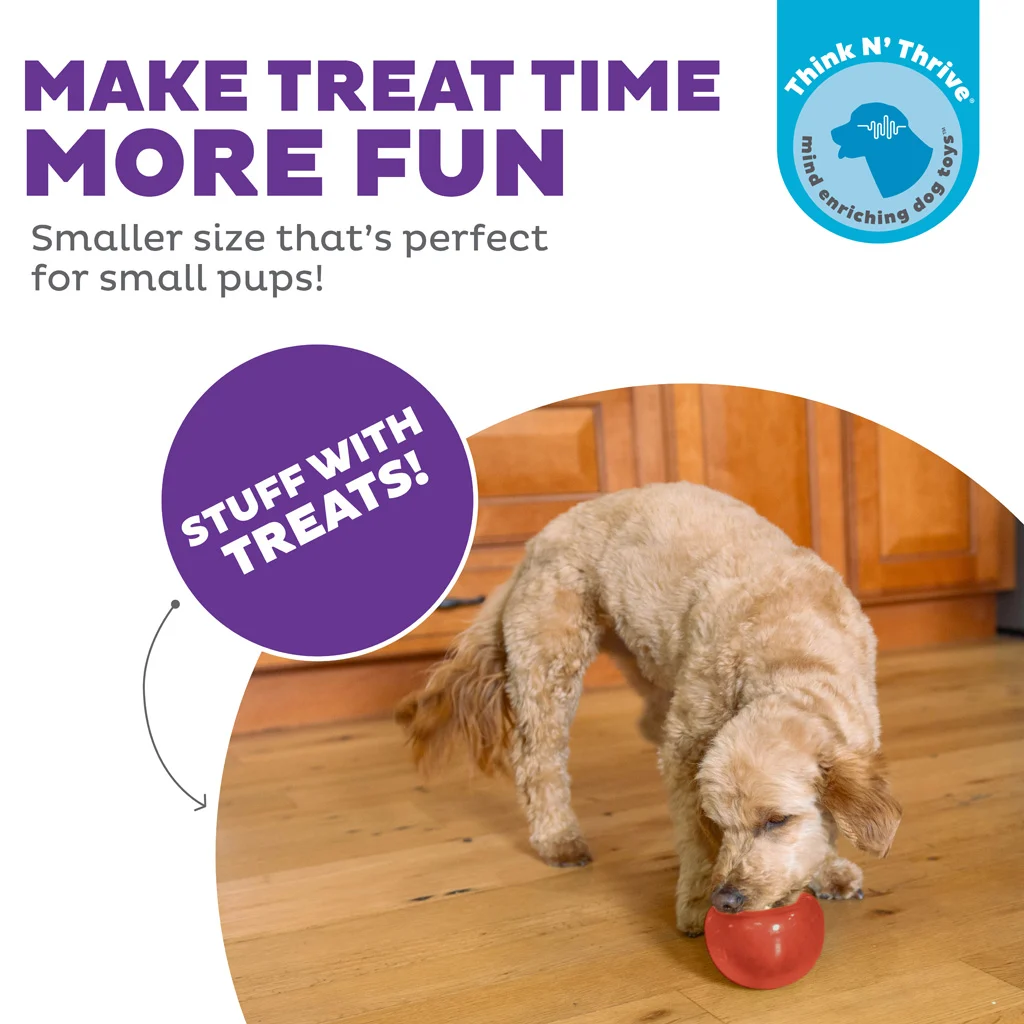 Gioco per cani con snack in TPE – Outward Hound Orbee-Tuff Snoop (Lil' Snoop) - immagine 4