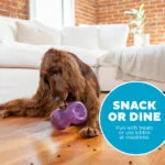 Gioco port snack per cani in TPE – Outward Hound Double Snoop - immagine 5