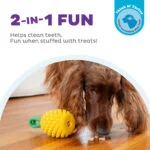 Gioco da masticare con corda e profumo fruttato – Outward Hound (Kyjen) Dental Pineapple - immagine 4