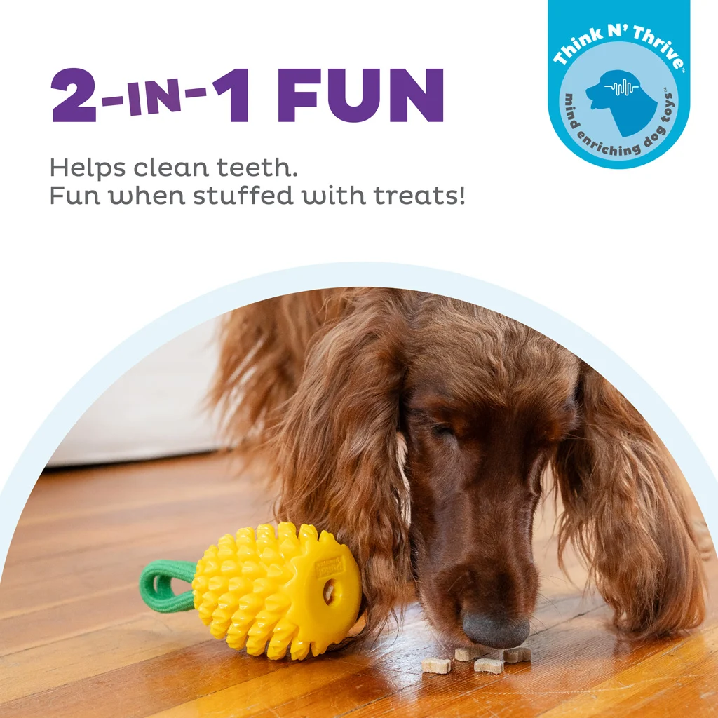 Gioco da masticare con corda e profumo fruttato – Outward Hound (Kyjen) Dental Pineapple - immagine 4