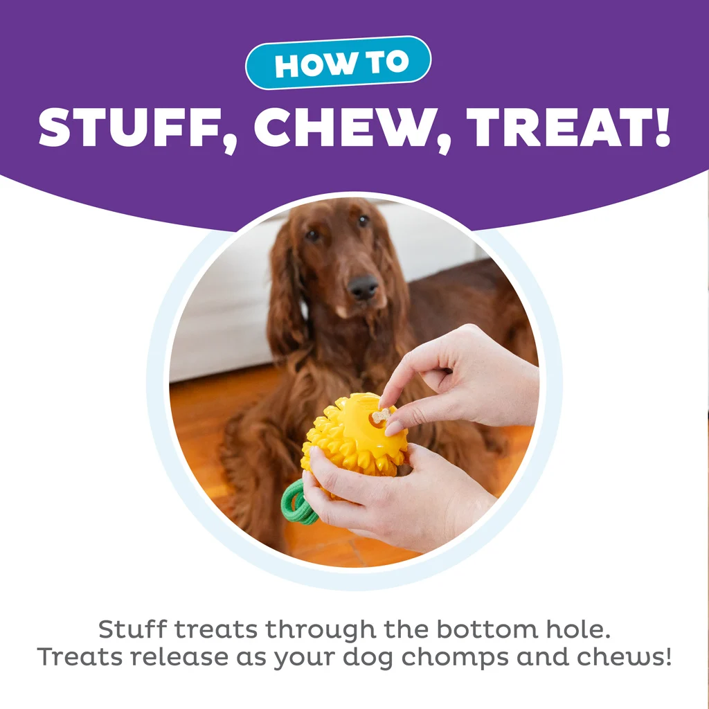 Gioco da masticare con corda e profumo fruttato – Outward Hound (Kyjen) Dental Pineapple - immagine 6