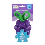 Gioco da masticare con corda e aroma di frutta – Outward Hound (Kyjen) Dental Grapes