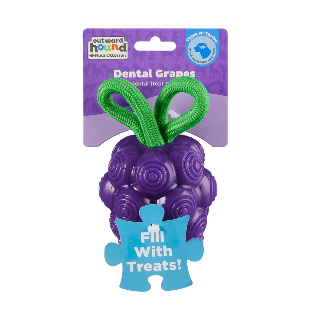 Gioco da masticare con corda e aroma di frutta – Outward Hound (Kyjen) Dental Grapes - immagine 1