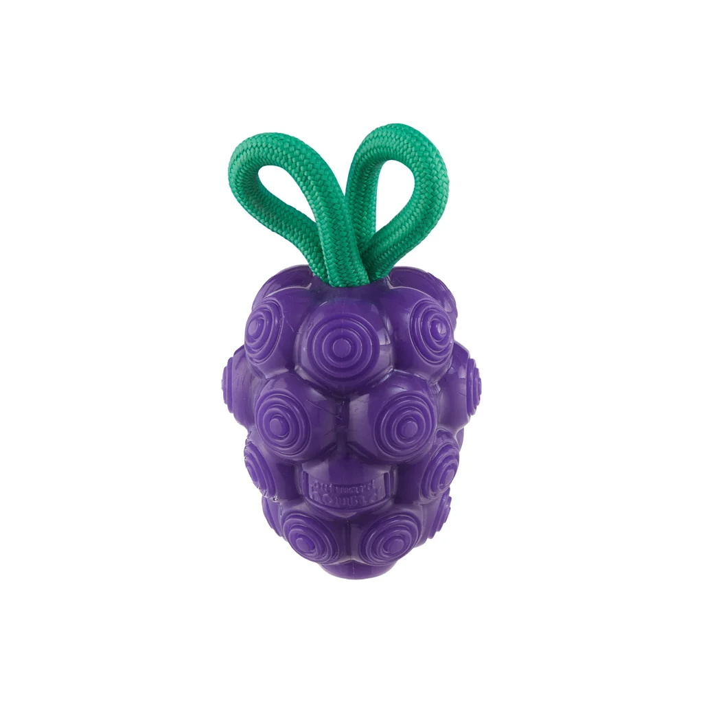 Gioco da masticare con corda e aroma di frutta – Outward Hound (Kyjen) Dental Grapes - immagine 2