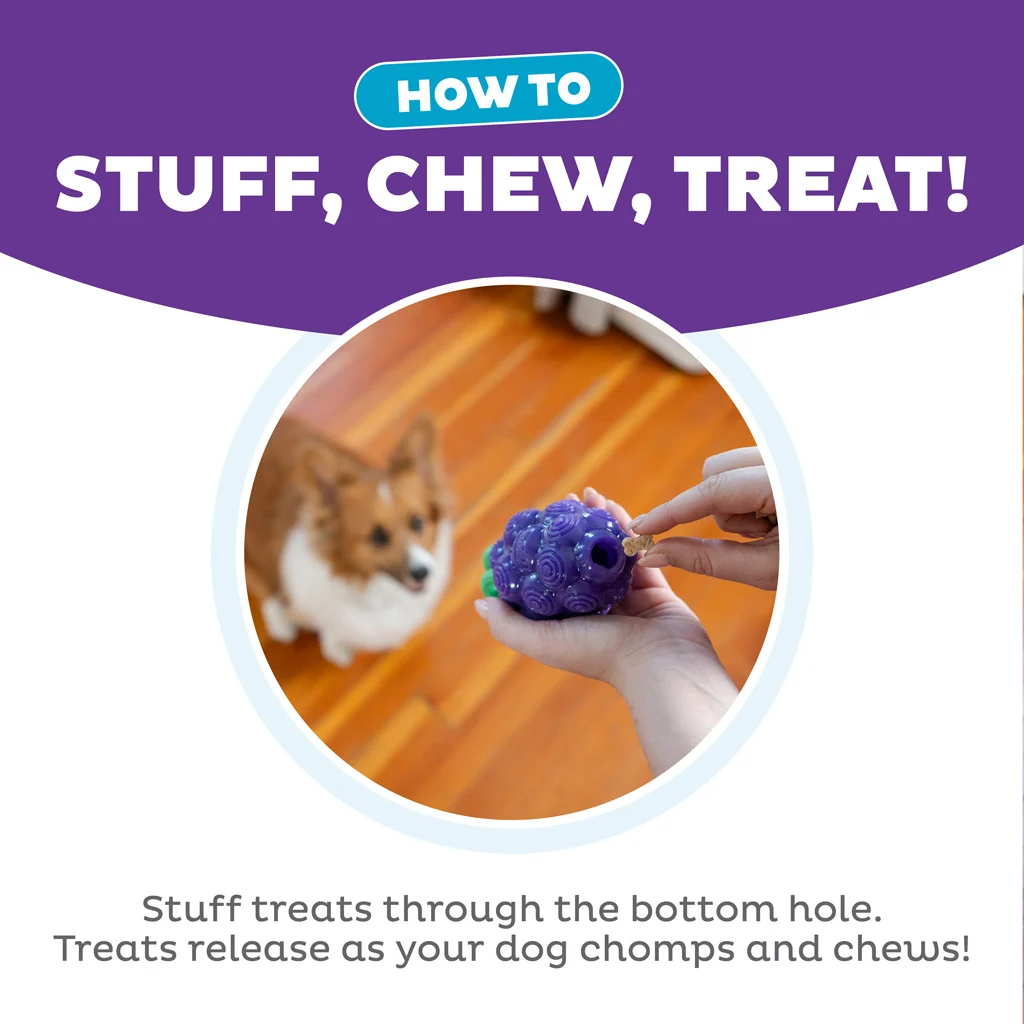 Gioco da masticare con corda e aroma di frutta – Outward Hound (Kyjen) Dental Grapes - immagine 6