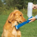 Borraccia con ciotola 500 ml – Pawise Travel Bottle - immagine 4
